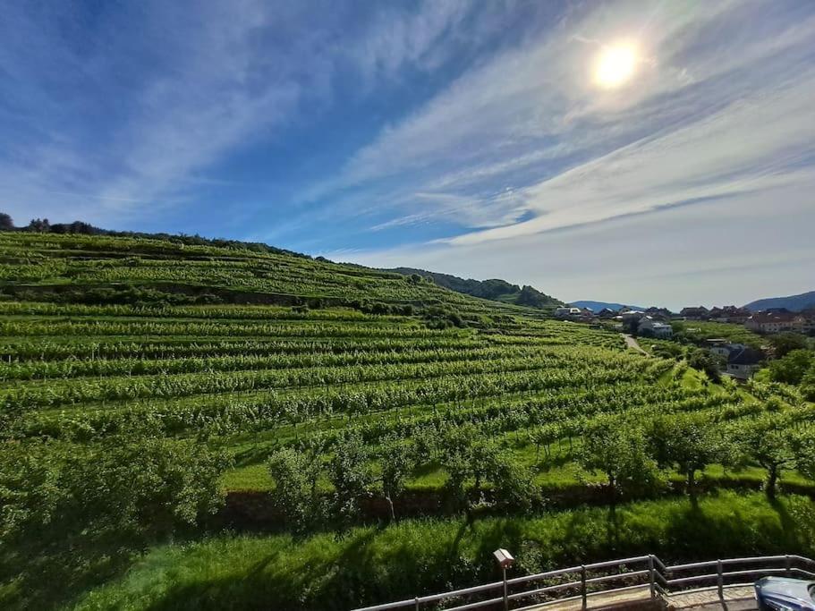 Wohnung In Der Wachau Weissenkirchen in der Wachau Bagian luar foto